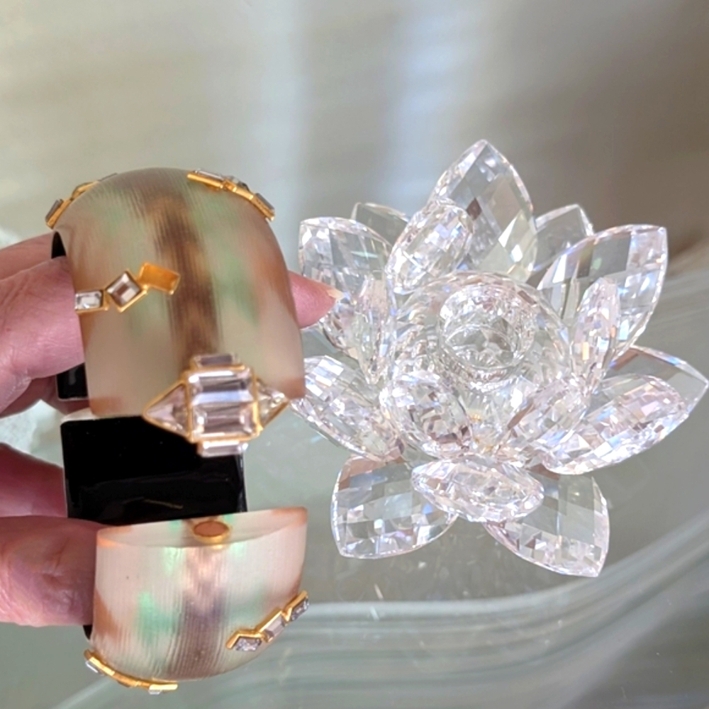 Alexis Bittar NWOT Wide Lucite Southwestern-Hued Bangle With Crystals - Picture 3 of 11